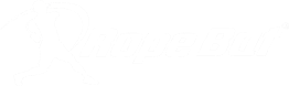 HOW THE
